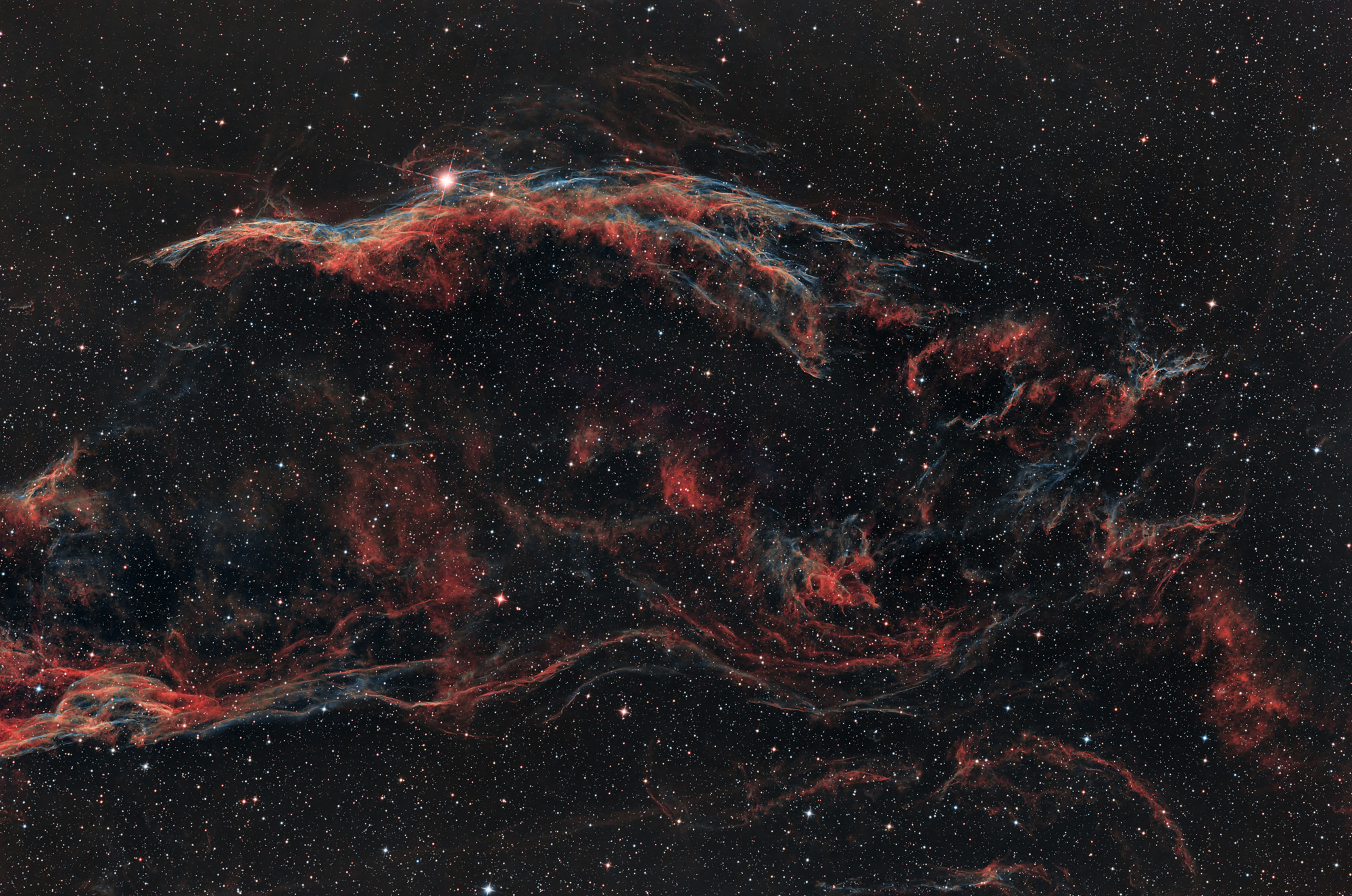 Western Veil Nebula, part of Cygnus Loop NGC 6960 Westlicher Schleiernebel, Teil des Cygnusbogens NGC 6960